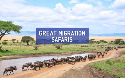 Your Ultimate Guide to Great Migration Safaris