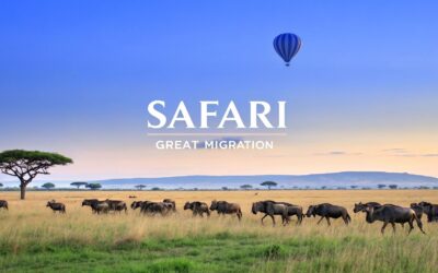 Your Expert Guide to the Safari Great Migration