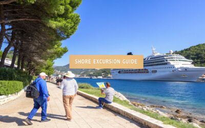 A Guide to Your Perfect Shore Excursion Group Experience
