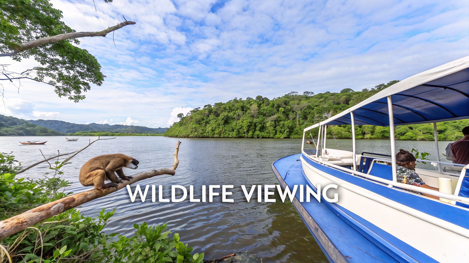 A monkey on a tree branch by a river, with a boat and lush green hills under a blue sky.