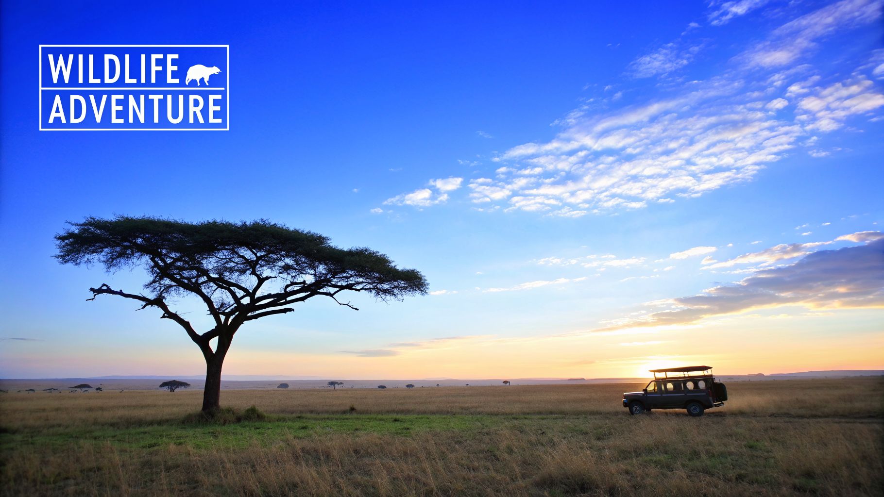A breathtaking African savanna sunset with an acacia tree, safari vehicle, and 'Wildlife Adventure' logo.