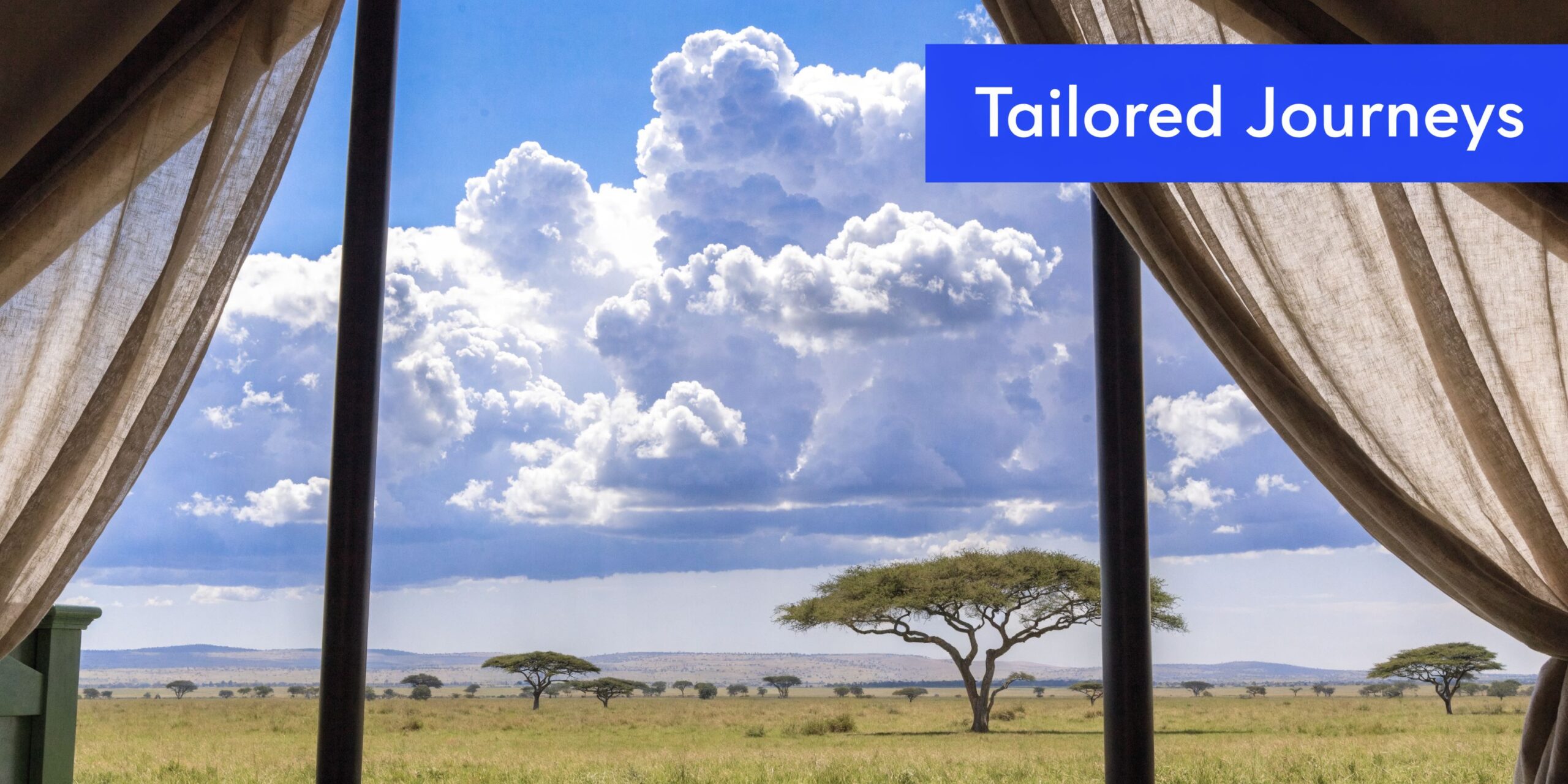 A scenic view of a vast African savanna with acacia trees under a dramatic cloudy sky.