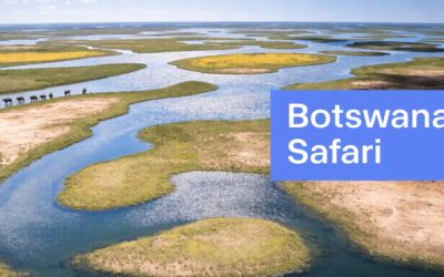 Sanctuary Chief’s Camp: Ultimate Botswana Safari