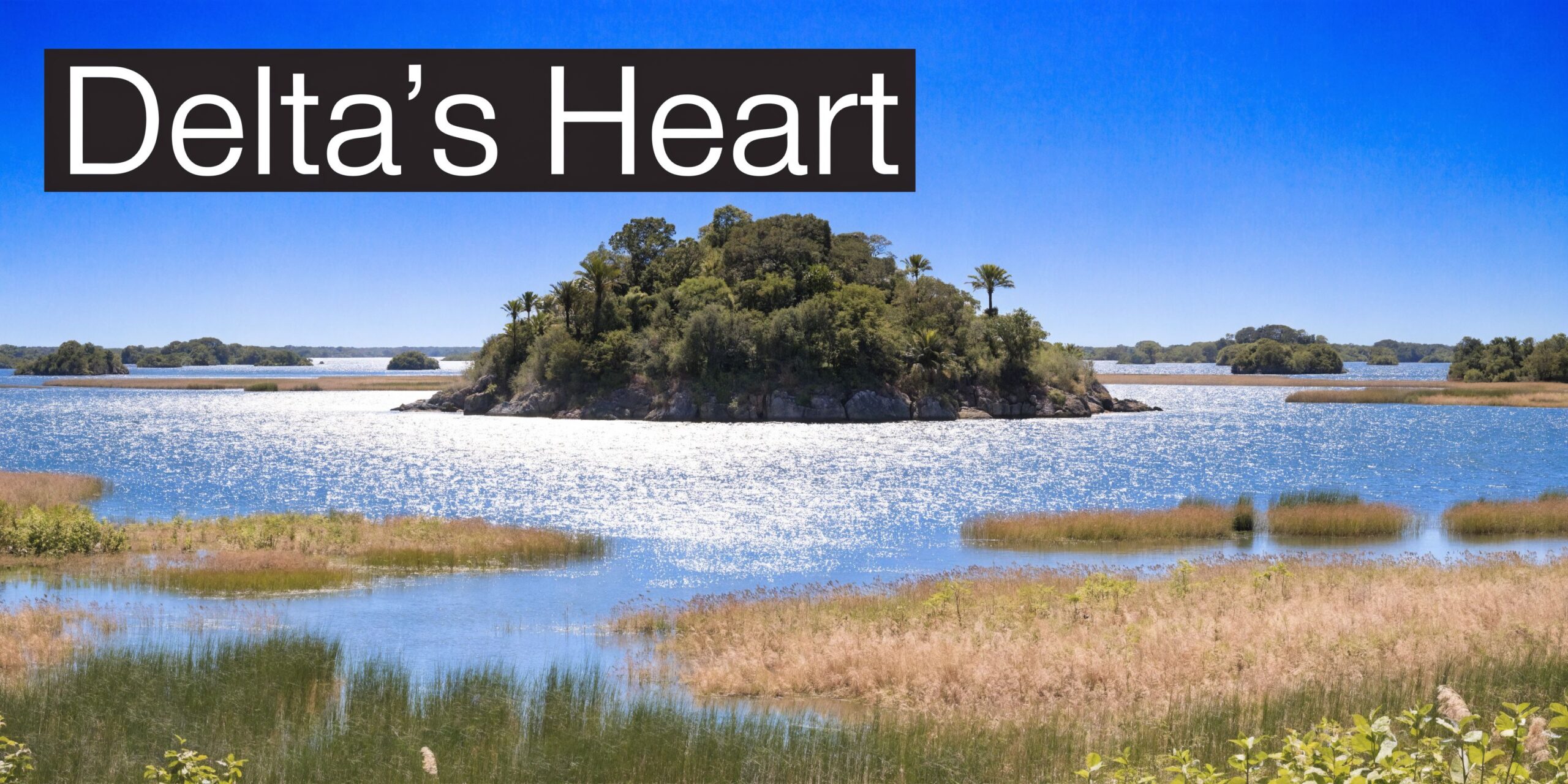 A serene view of a lush green island sitting in the middle of a sparkling lake