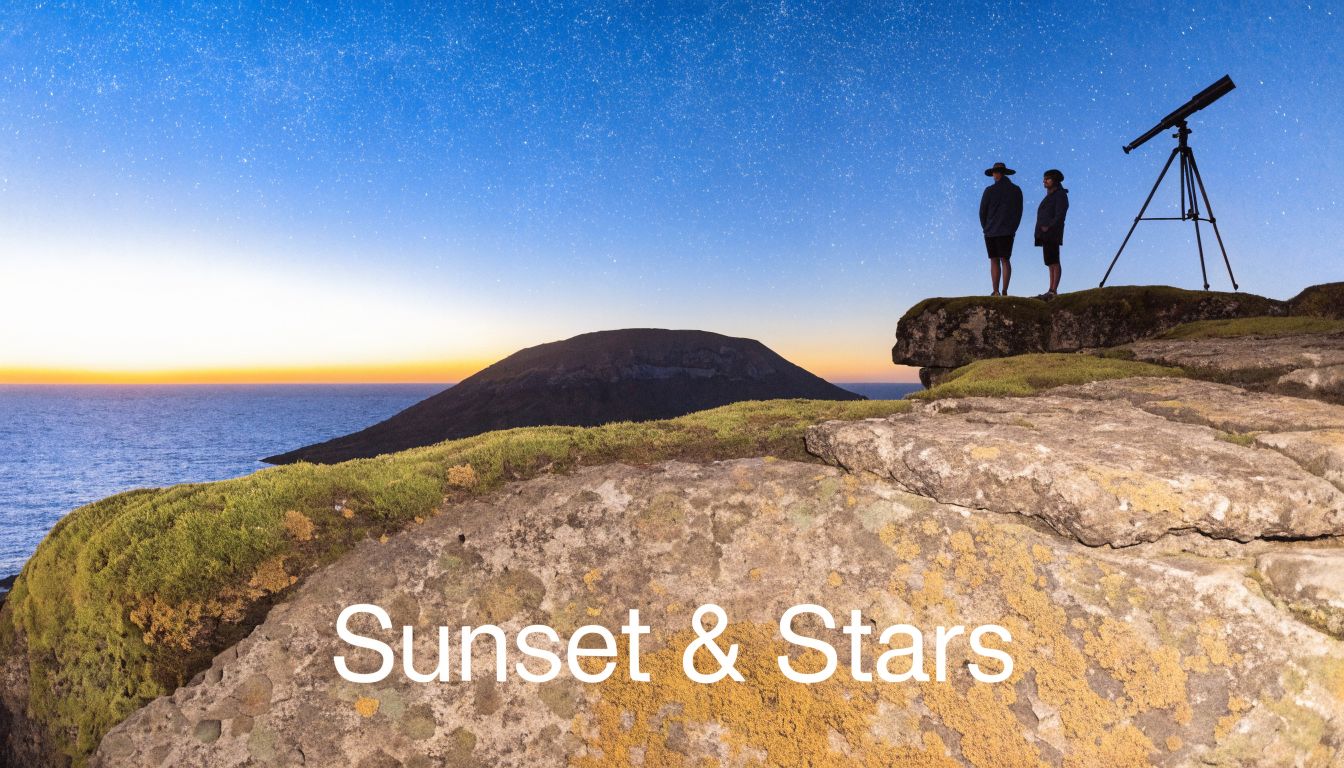 Two people standing on a rocky cliff overlooking the ocean with a telescope under starry skies.