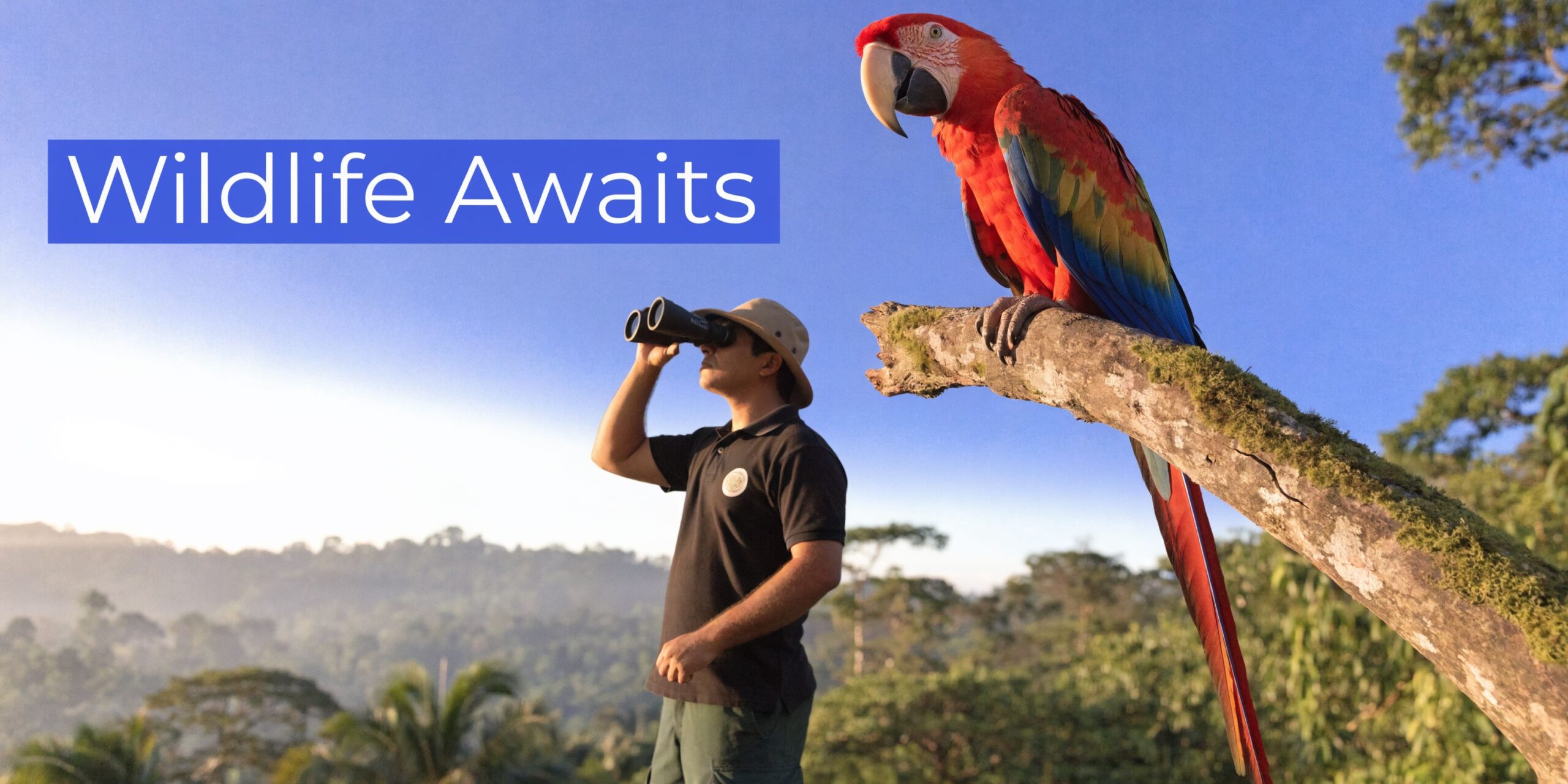 A man wearing a hat and using binoculars while a colorful scarlet macaw perches on a branch.