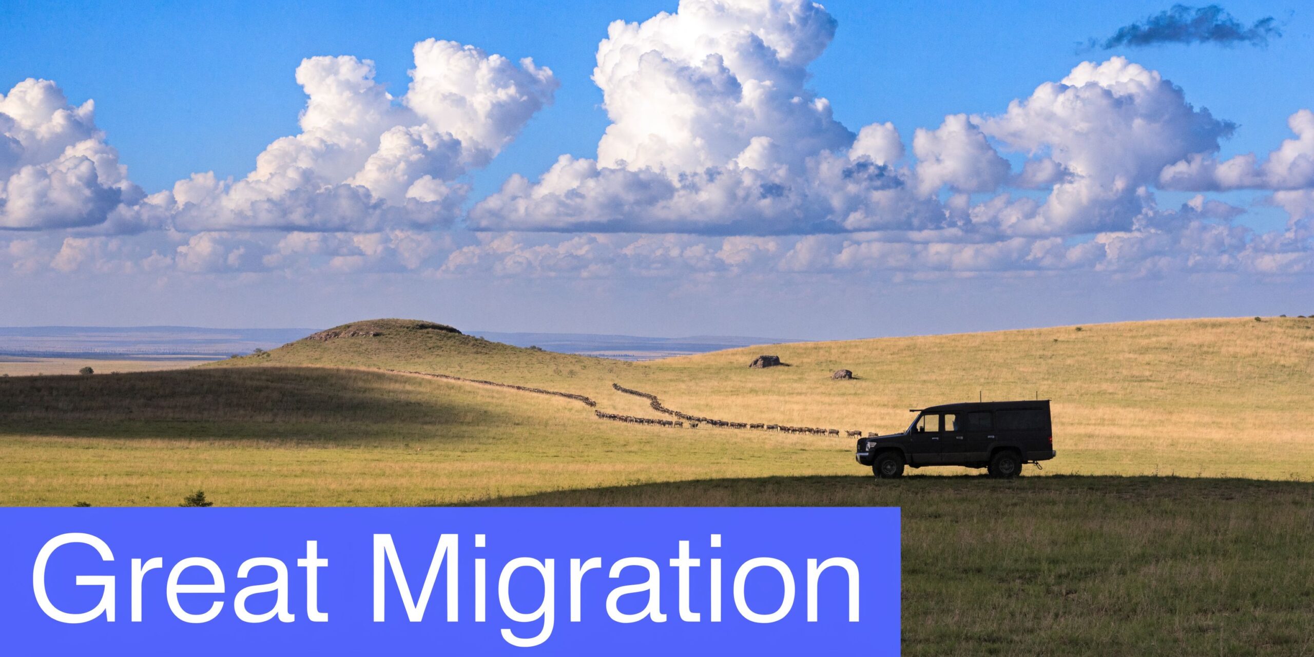 A black safari vehicle parked in a vast, grassy savannah landscape with a line of wildebeests migrating.