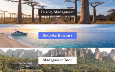 Luxury Tour to Madagascar: A Bespoke Itinerary Guide