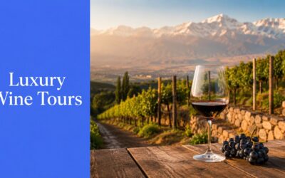 Explore Argentina Wine Mendoza: Ultimate Luxury Tours 2026