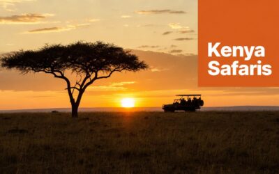 The 7 Best Safaris in Kenya for Luxury Travelers (2026)