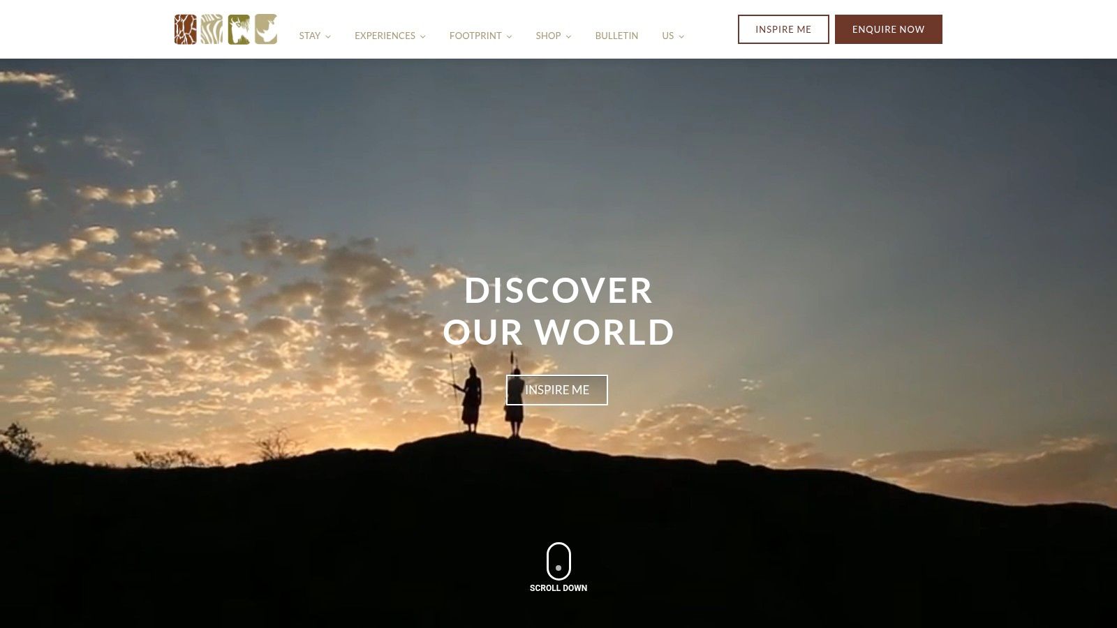 The Safari Collection