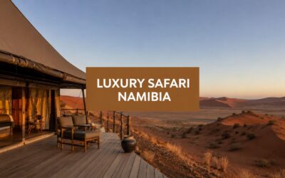 Discover 2026 Luxury Safaris in Namibia: Your Ultimate Guide
