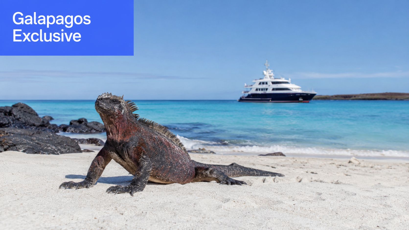 A marine iguana sits on a white sand beach with a luxury cruise yacht in the background.