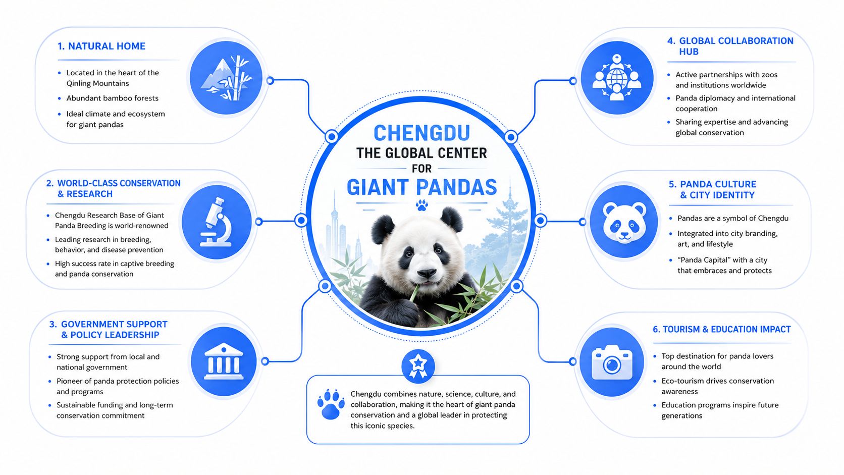 An infographic titled Chengdu The Global Center for Giant Pandas detailing six reasons for its leadership.