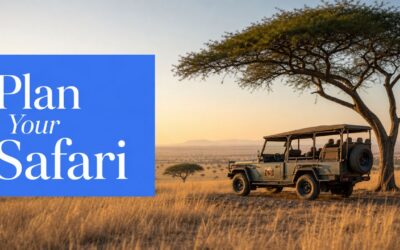 How to Plan African Safari: The Ultimate Guide 2026
