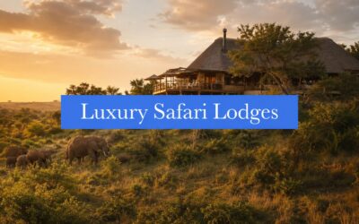 7 Luxury South Africa Safari Lodges to Know
