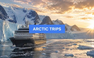 Ultimate Trips to Arctic: 2026 Cruise Guide