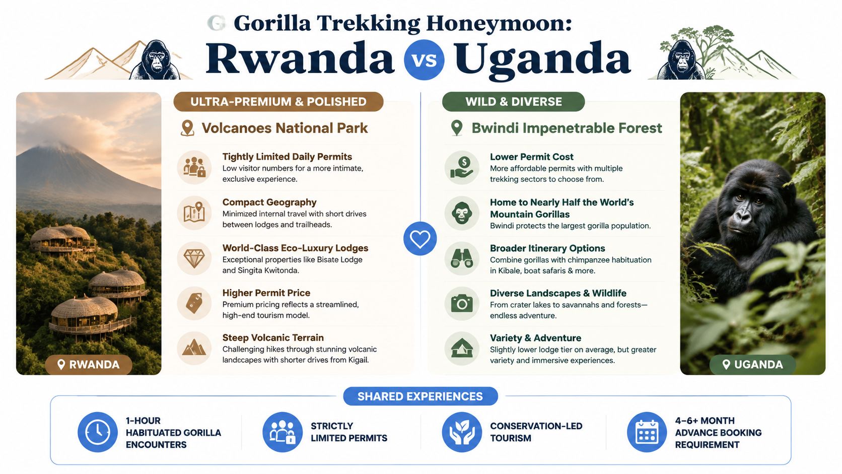 A comparison infographic detailing Rwanda and Uganda as prime honeymoon destinations for gorilla trekking adventures.
