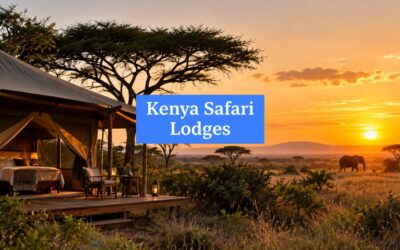 7 Best Safari Lodges in Kenya for Luxury Travel